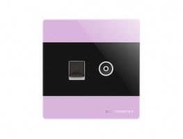 牙克石SF-PCTV-1紫