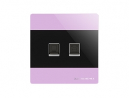 石河子SF-PCPH-1紫